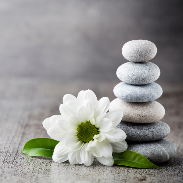 Beauty & Wellness: Free Radicals