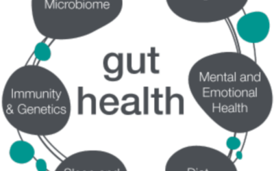 Why Gut Health Impacts Everything from Energy to Aging