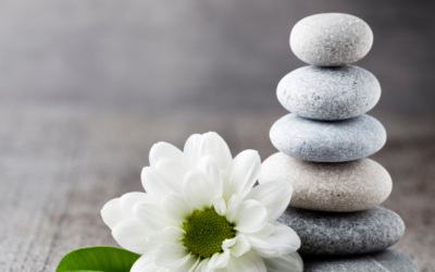 Beauty and Wellness -Free Radicals